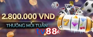 tv88