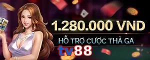tv88