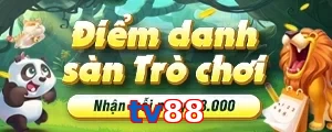 tv88