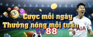 tv88